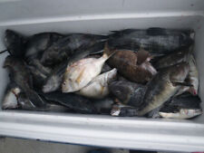 Hand tied black for sale  Linden