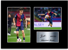 Hector fort football for sale  OMAGH