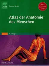 Frank netter atlas gebraucht kaufen  Velbert