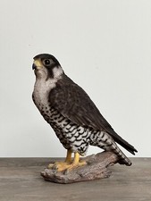 Peregrine falcon realistic for sale  NEWARK