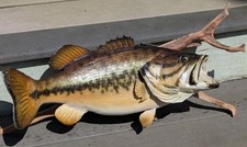 Largemouth bass real for sale  Cleveland