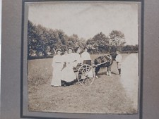 Women pony cart for sale  Shawmut