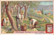 Chromos.am13202.liebig.arbres  d'occasion  France