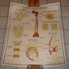 Affiche scolaire vintage d'occasion  Villefranche-sur-Saône