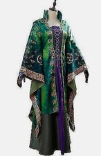 Hocus pocus winifred for sale  PRESTON