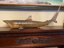 Taxidermy shark for sale  Concord
