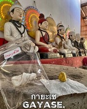 Magic burmese gayase d'occasion  Expédié en Belgium