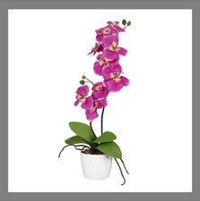 Rchidee keramiktopf rosa gebraucht kaufen  Schöneck/Vogtl.