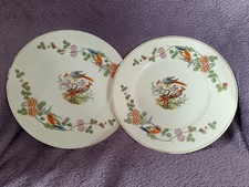 Set exotic bird for sale  DUNDEE