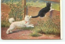 Chien mordant queue d'occasion  Igny