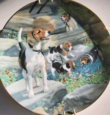 Hamilton plate beagles for sale  Berlin