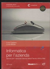 Informatica per azienda usato  Torino