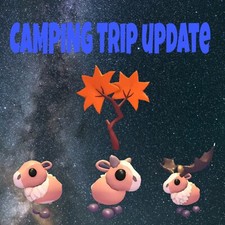 ATUALIZAÇÃO DE VIAGEM DE ACAMPAMENTO - ADOTE DE MIM comprar usado  Enviando para Brazil