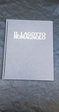 Lagotto romagnolo g.morsiani usato  Grizzana Morandi