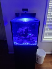 Red sea max for sale  Knightdale