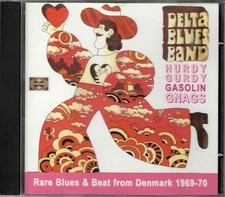Delta blues band usato  Roma