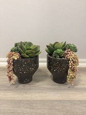planter succulent faux for sale planter succulent faux for sale Tulsa