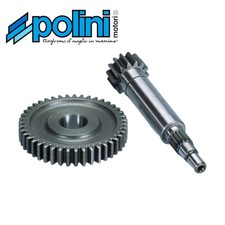 Polini 2021318 ingranaggio usato Polini 2021318 ingranaggio usato  Roma