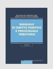 Manuale diritto punitivo usato  Roma
