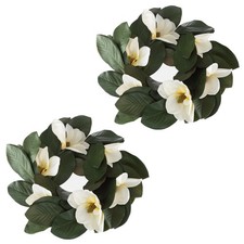 Pure garden magnolia for sale  USA