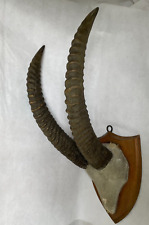 Antique vintage old for sale  WAKEFIELD