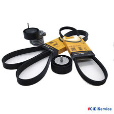 Kit cinghie servizi usato  Bracciano