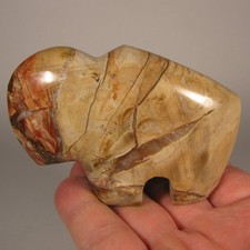 3.3 petrified wood for sale  Acworth