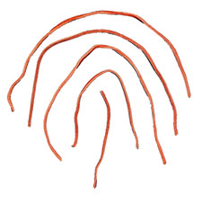 Craft leather strings for sale  Los Angeles