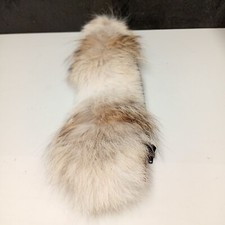 Canada goose coyote for sale Canada goose coyote for sale  WELLINGBOROUGH