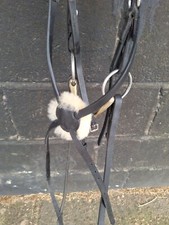 Full grackle noseband for sale  BEACONSFIELD