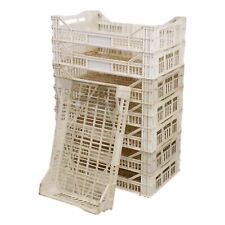 Used potato chitting for sale  SHREWSBURY
