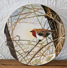 Wedgwood handpainted plate. for sale  STOKE-ON-TRENT