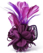 Wllhyf 1920s feather for sale  WOKINGHAM