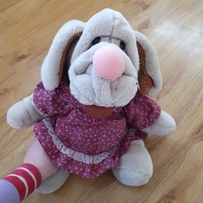 Ganzbro wrinkles dog for sale  HORSHAM