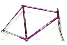 Bianchi reparto corse usato  Roma