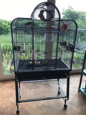 Rainforest cage santa for sale  BOLTON
