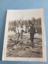 bull moose photograph for sale bull moose photograph for sale Rand