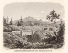 Waltenhofen allgäu riginal gebraucht kaufen  Deutschland