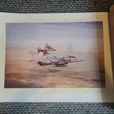 Desert cats michael for sale  SWANSEA