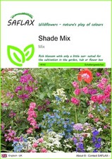 Saflax samen shade gebraucht kaufen  Münster