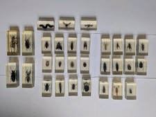 Vintage collection real for sale  SHEFFIELD