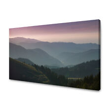 Leinwand bilder natur gebraucht kaufen  Großröhrsdorf