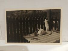 1941 wwii photo d'occasion  Expédié en Belgium