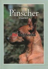 Pinscher nano zwergpinscher usato  Vicenza