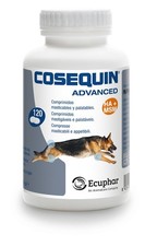 Cosequin advanced cane usato Cosequin advanced cane usato  Napoli