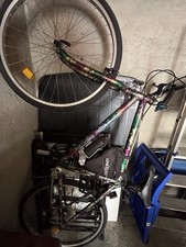 Bici torpado mtb usato  Borgaro Torinese