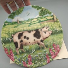 Royal doulton pigs for sale  HEMEL HEMPSTEAD
