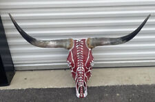 Steer skull long for sale  Round Rock