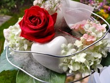 Rote rose weisses gebraucht kaufen Rote rose weisses gebraucht kaufen  Deutschland