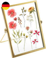 20cm goldene bilderrahmen gebraucht kaufen  Lindau (Bodensee)